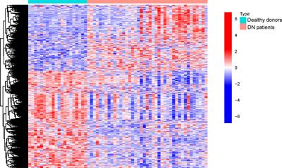 Machine-learning algorithm-based prediction of a diagnostic model based on oxidative stress-related genes involved in immune infiltration in diabetic nephropathy patients